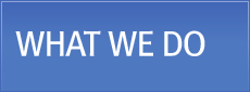WHAT WE DO